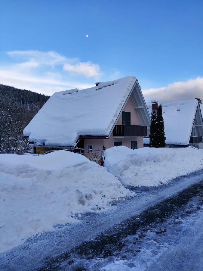 Ferienhaus Barbey St. Blasien Exterior foto