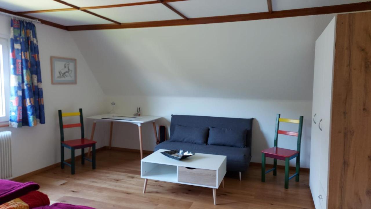 Ferienhaus Barbey St. Blasien Exterior foto