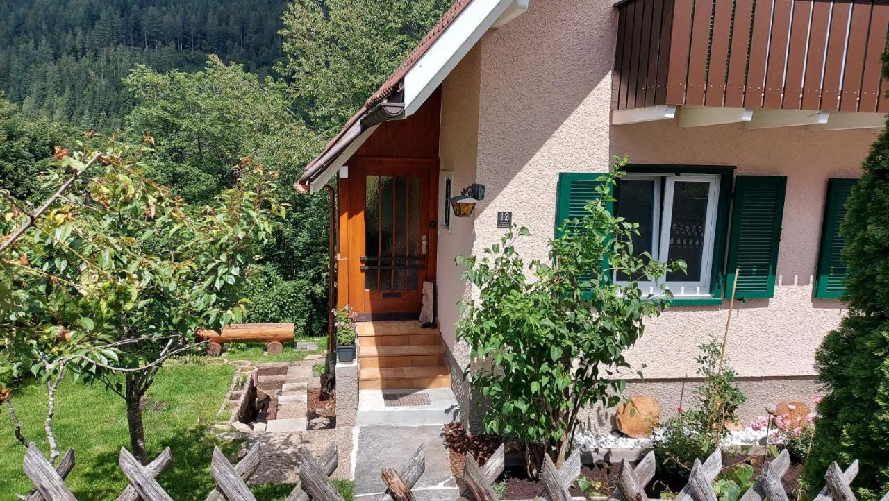Ferienhaus Barbey St. Blasien Exterior foto
